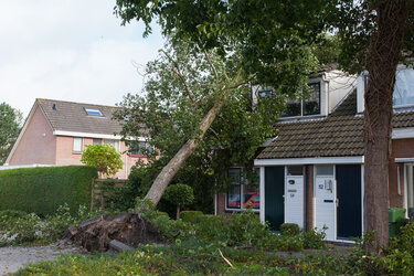 Een omgevallen boom op een huis na een zware storm