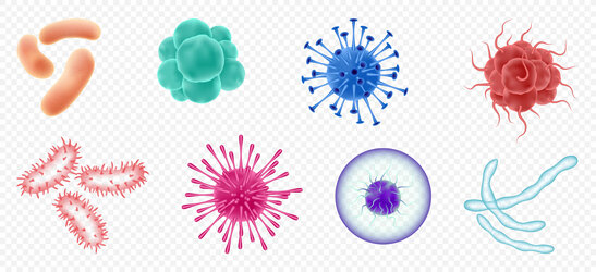 Schadelijke micro-organismen: virussen, bacteriën en parasieten