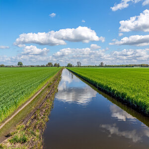 Een sloot met landbouwgrond aan beide kanten