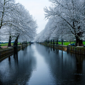 Kanaal met besneeuwde bomen aan beide kanten